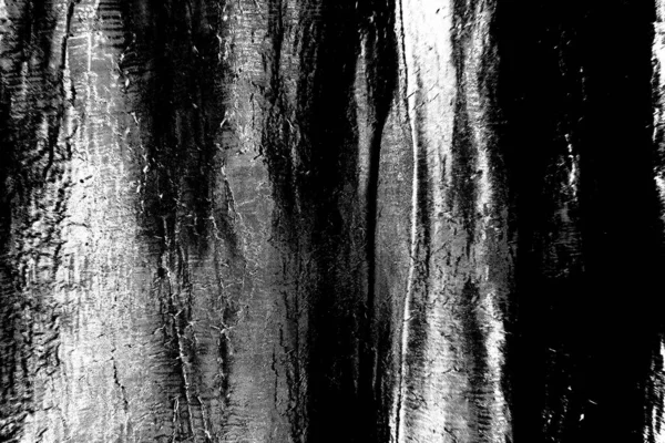 Contexte Abstrait Texture Monochrome Fond Texturé Noir Blanc — Photo