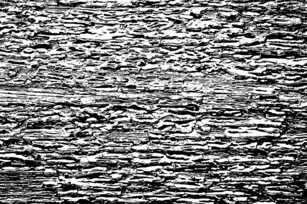 Abstracte Achtergrond Monochrome Textuur Zwart Wit Textuur Achtergrond — Stockfoto