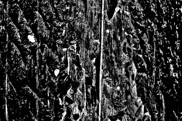 Abstract background. Monochrome texture. Black and white textured background.