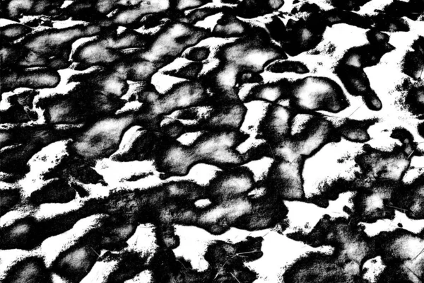 Fond Abstrait Texture Monochrome Image Incluant Effet Les Tons Noir — Photo