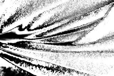 Soyut arkaplan. Monokrom dokusu. Siyah ve beyaz desenli arkaplan. 