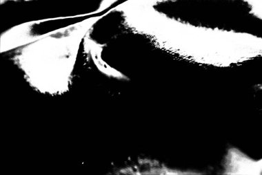 Soyut arkaplan. Monokrom dokusu. Siyah ve beyaz desenli arkaplan. 