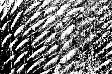 Soyut arkaplan. Monokrom dokusu. Siyah ve beyaz desenli arkaplan. 