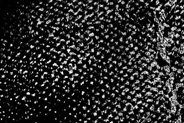 Soyut arkaplan. Monokrom dokusu. Siyah ve beyaz desenli arkaplan. 