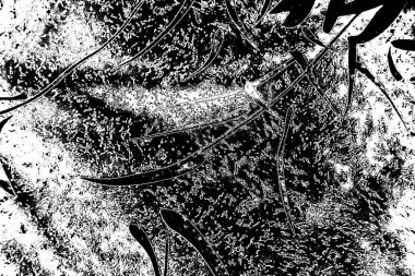 Soyut arkaplan. monokrom dokusu. resim siyah ve beyaz tonları içerir.