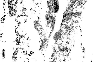 Soyut arkaplan. Monokrom dokusu. Siyah ve beyaz desenli arkaplan. 