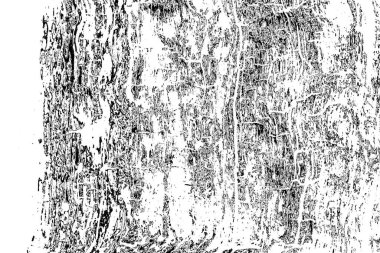 Soyut arkaplan. Monokrom dokusu. Siyah ve beyaz desenli arkaplan. 