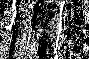 Soyut arkaplan. Monokrom dokusu. Siyah ve beyaz desenli arkaplan. 