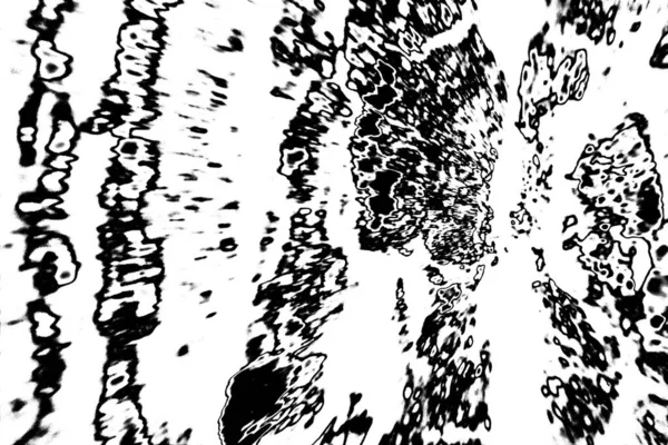 Fondo Abstracto Textura Monocromática Fondo Texturizado Blanco Negro —  Fotos de Stock