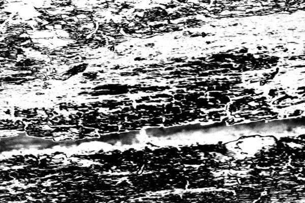 Contexte Abstrait Texture Monochrome Fond Texturé Noir Blanc — Photo