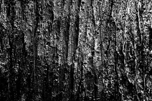 Abstraktní Pozadí Monochromní Textura Černobílé Texturované Pozadí — Stock fotografie