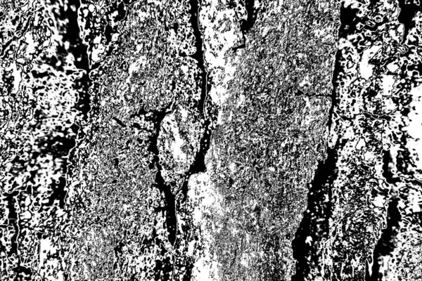 Contexte Abstrait Texture Monochrome Fond Texturé Noir Blanc — Photo