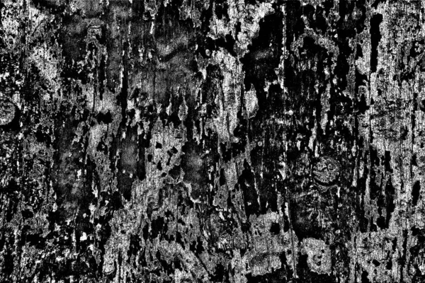 Abstracte Achtergrond Monochrome Textuur Zwart Wit Textuur Achtergrond — Stockfoto