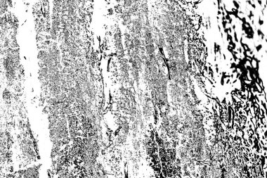 Soyut arkaplan. Monokrom dokusu. Siyah ve beyaz desenli arkaplan. 