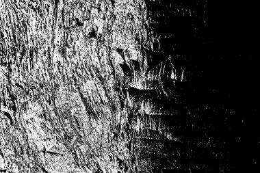 Soyut arkaplan. Monokrom dokusu. Siyah ve beyaz desenli arkaplan. 