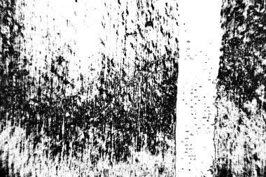 Soyut arkaplan. Monokrom dokusu. Siyah ve beyaz desenli arkaplan. 