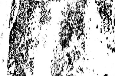 Soyut arkaplan. Monokrom dokusu. Siyah ve beyaz desenli arkaplan. 