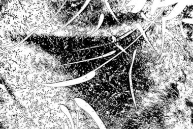 Soyut arkaplan. monokrom dokusu. resim siyah ve beyaz tonları içerir.