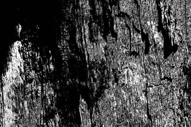 Soyut arkaplan. Monokrom dokusu. Siyah ve beyaz desenli arkaplan. 