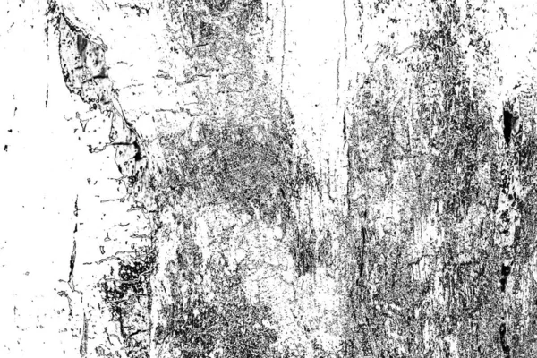 Abstracte Achtergrond Monochrome Textuur Zwart Wit Textuur Achtergrond — Stockfoto