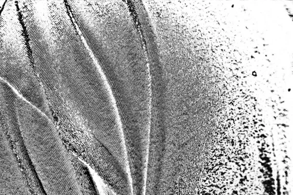 Fondo Abstracto Textura Monocromática Fondo Texturizado Blanco Negro — Foto de Stock