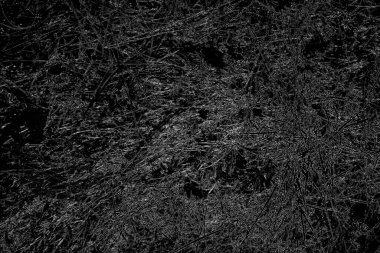 Soyut arkaplan. monokrom dokusu. resim siyah ve beyaz tonları içerir.