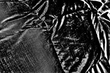 Soyut arkaplan. Monokrom dokusu. Siyah ve beyaz desenli arkaplan. 