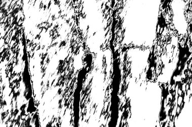 Soyut arkaplan. Monokrom dokusu. Siyah ve beyaz desenli arkaplan. 