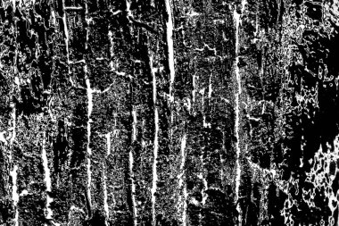 Soyut arkaplan. Monokrom dokusu. Siyah ve beyaz desenli arkaplan. 