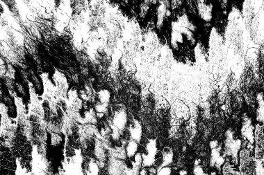 Soyut arkaplan. monokrom dokusu. resim siyah ve beyaz tonları içerir.