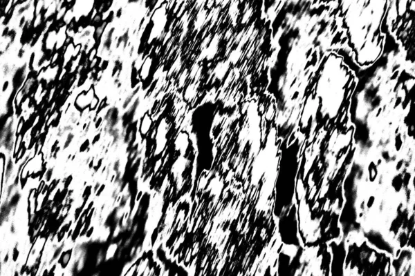 Fondo Abstracto Textura Monocromática Fondo Texturizado Blanco Negro —  Fotos de Stock