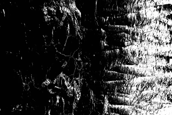 Sfondo Astratto Struttura Monocromatica Bianco Nero Sfondo Strutturato — Foto Stock