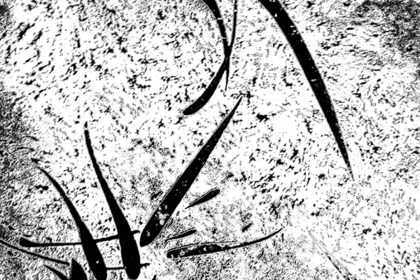 Abstract Background Monochrome Texture Image Including Effect Black White Tones — Stock Photo, Image