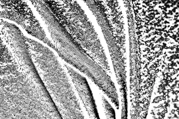 Fondo Abstracto Textura Monocromática Fondo Texturizado Blanco Negro —  Fotos de Stock