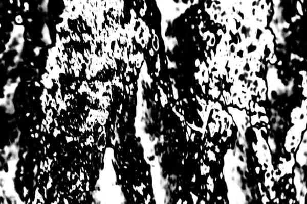 Contexte Abstrait Texture Monochrome Fond Texturé Noir Blanc — Photo