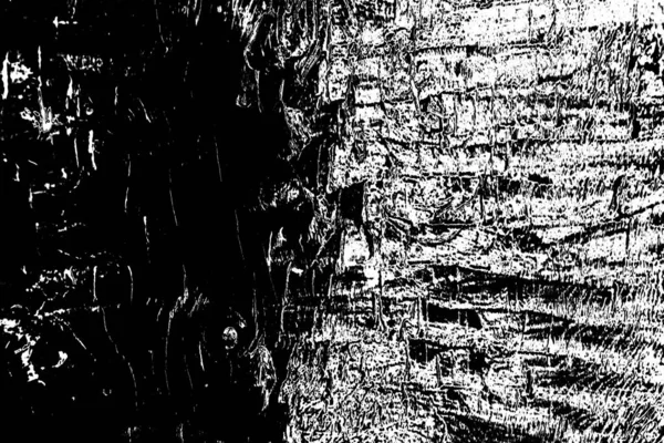 Abstracte Achtergrond Monochrome Textuur Zwart Wit Textuur Achtergrond — Stockfoto