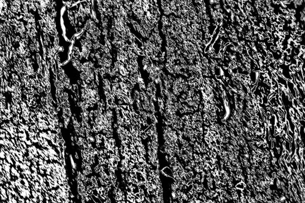 Contexte Abstrait Texture Monochrome Fond Texturé Noir Blanc — Photo