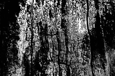 Soyut arkaplan. Monokrom dokusu. Siyah ve beyaz desenli arkaplan. 