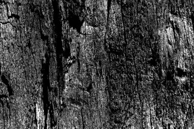 Soyut arkaplan. Monokrom dokusu. Siyah ve beyaz desenli arkaplan. 