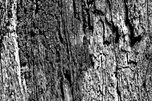 Abstraktní Pozadí Monochromní Textura Černobílé Texturované Pozadí — Stock fotografie