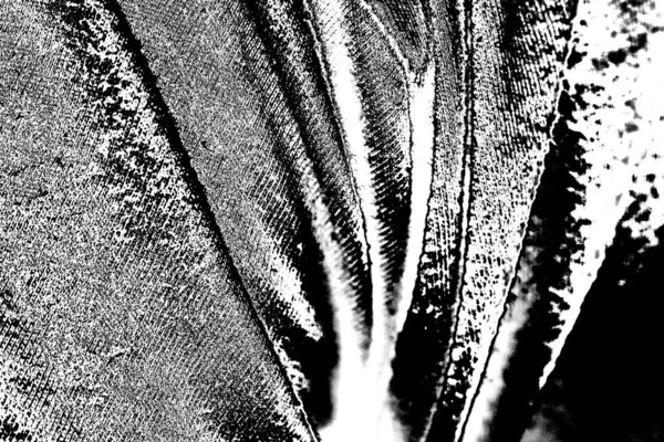 Fondo Abstracto Textura Monocromática Fondo Texturizado Blanco Negro — Foto de Stock