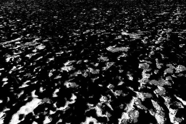 Abstrait Noir Blanc Fond Texturé — Photo