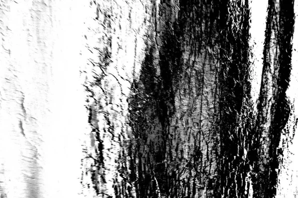 Abstrait Noir Blanc Fond Texturé — Photo