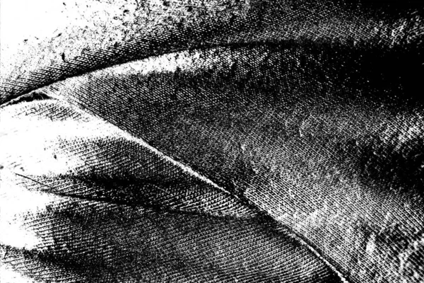 Fondo Abstracto Textura Monocromática Fondo Texturizado Blanco Negro — Foto de Stock