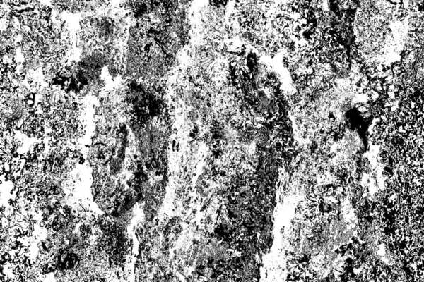 Sfondo Astratto Texture Monocromatica Immagine Compreso Effetto Toni Bianco Nero — Foto Stock