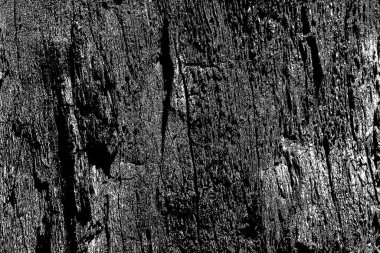 Soyut arkaplan. Monokrom dokusu. Siyah ve beyaz desenli arkaplan. 