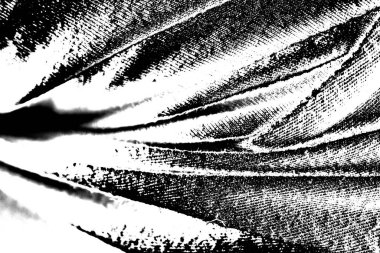 Soyut arkaplan. Monokrom dokusu. Siyah ve beyaz desenli arkaplan. 