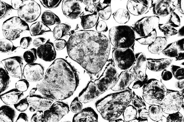 Ağaç kütükleri yığını. Tahta günlük kaydı dokusu arkaplanı