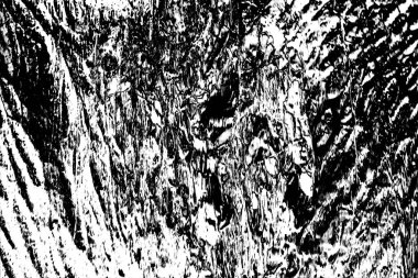 Soyut arkaplan. Monokrom dokusu. Siyah ve beyaz desenli arkaplan. 