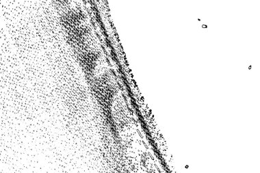 Soyut arkaplan. Monokrom dokusu. Siyah ve beyaz desenli arkaplan. 